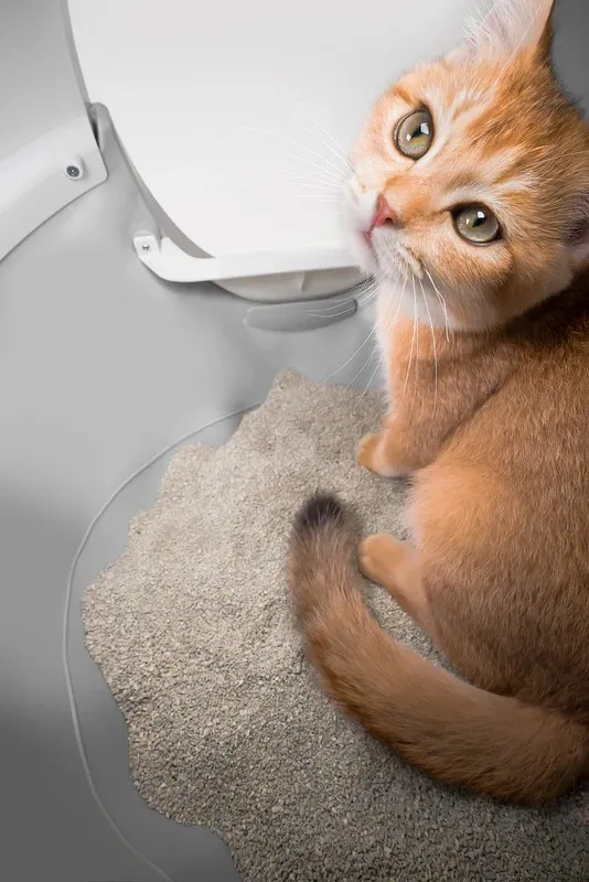 CATLINK AI 5GHz Camera Cat Litter Box - Scooper Pro Ultra - Image 14