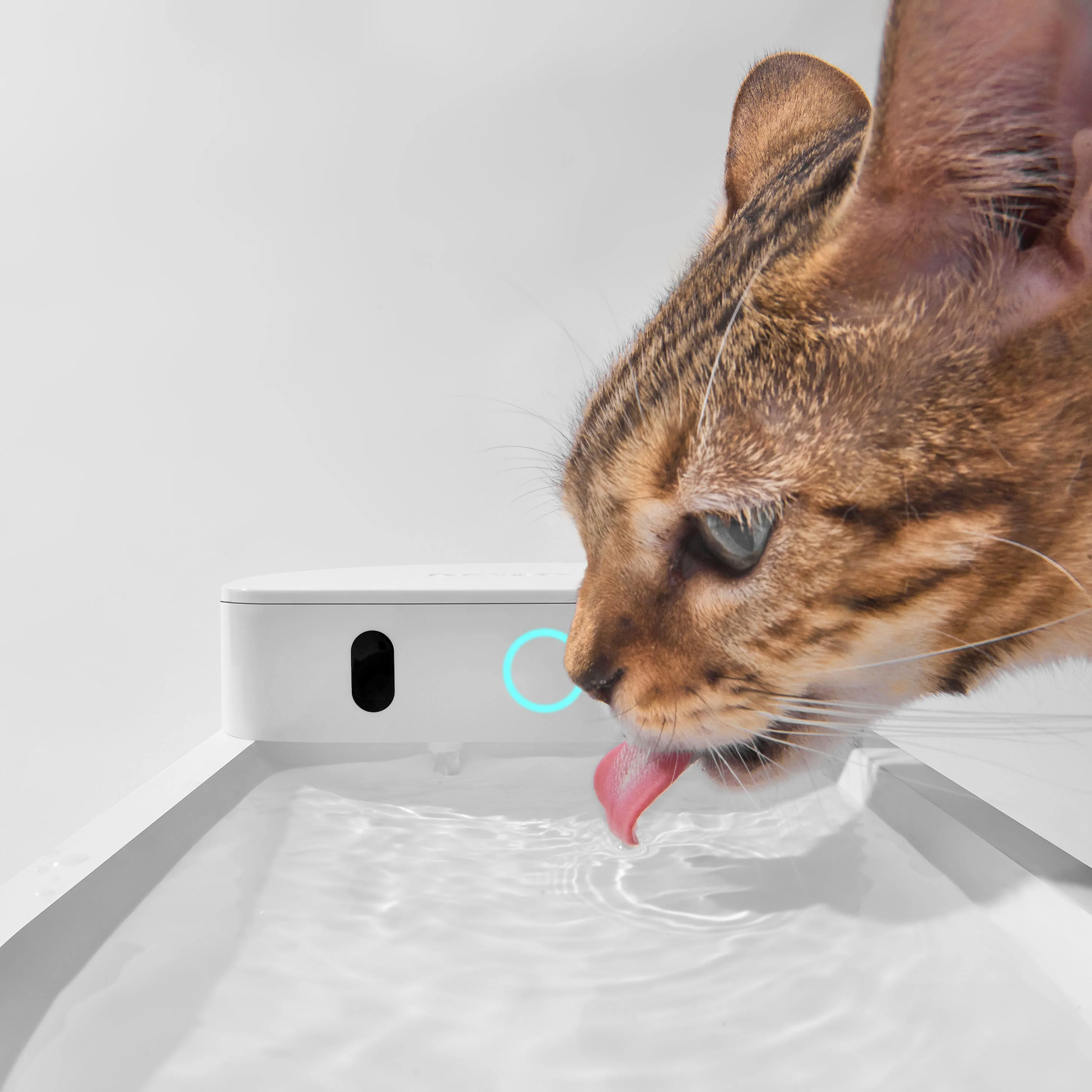 CATLINK AI Water Fountain - Wireless Double Set - Image 5