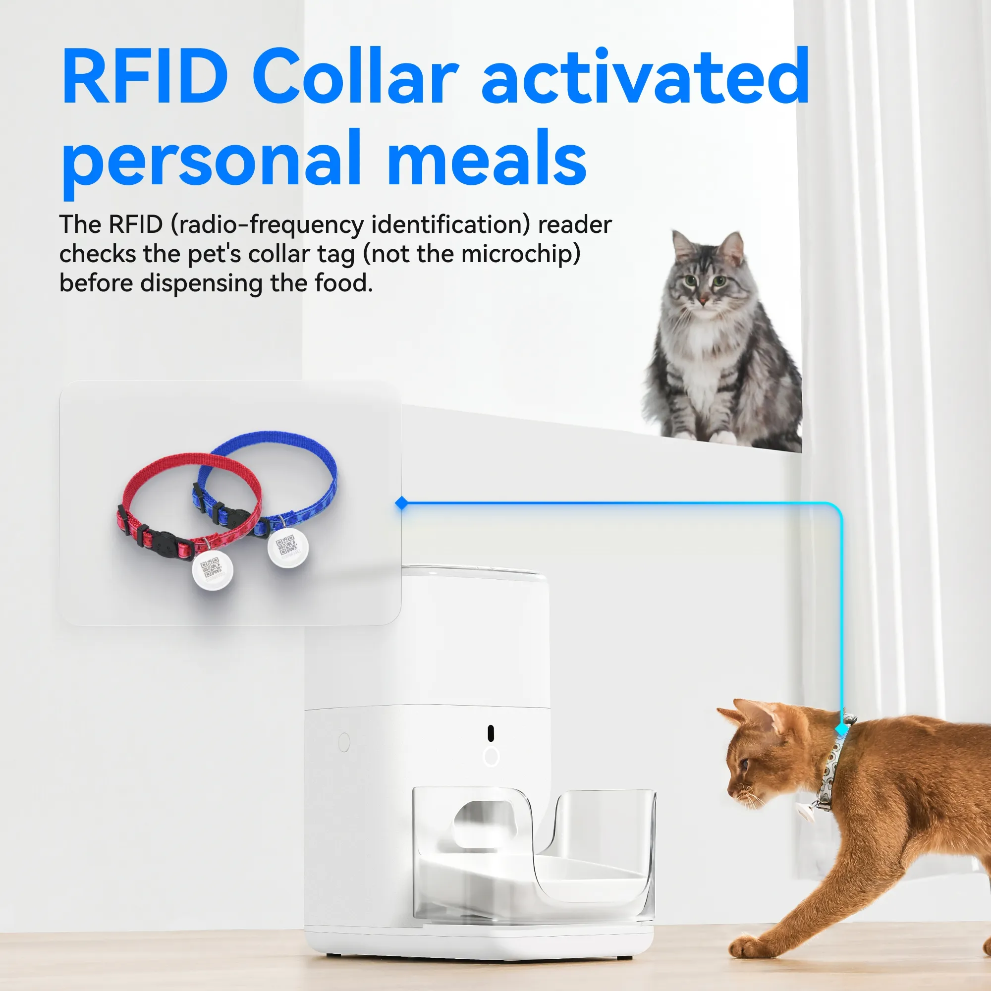 CATLINK Automatic Feeder RFID Fresh 2 - Luxury - Image 6