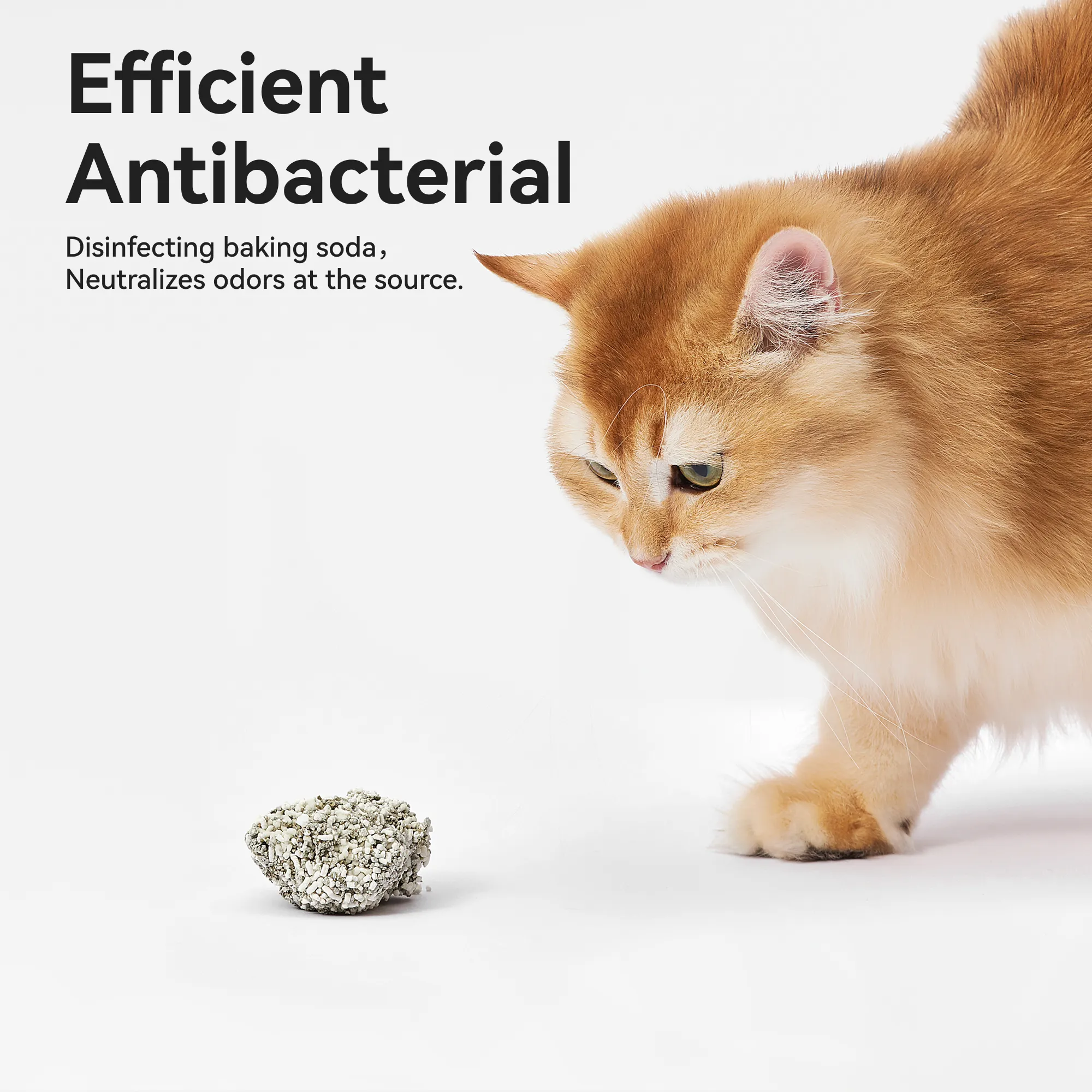 CATLINK Cassava Mixed Cat Litter - Image 7