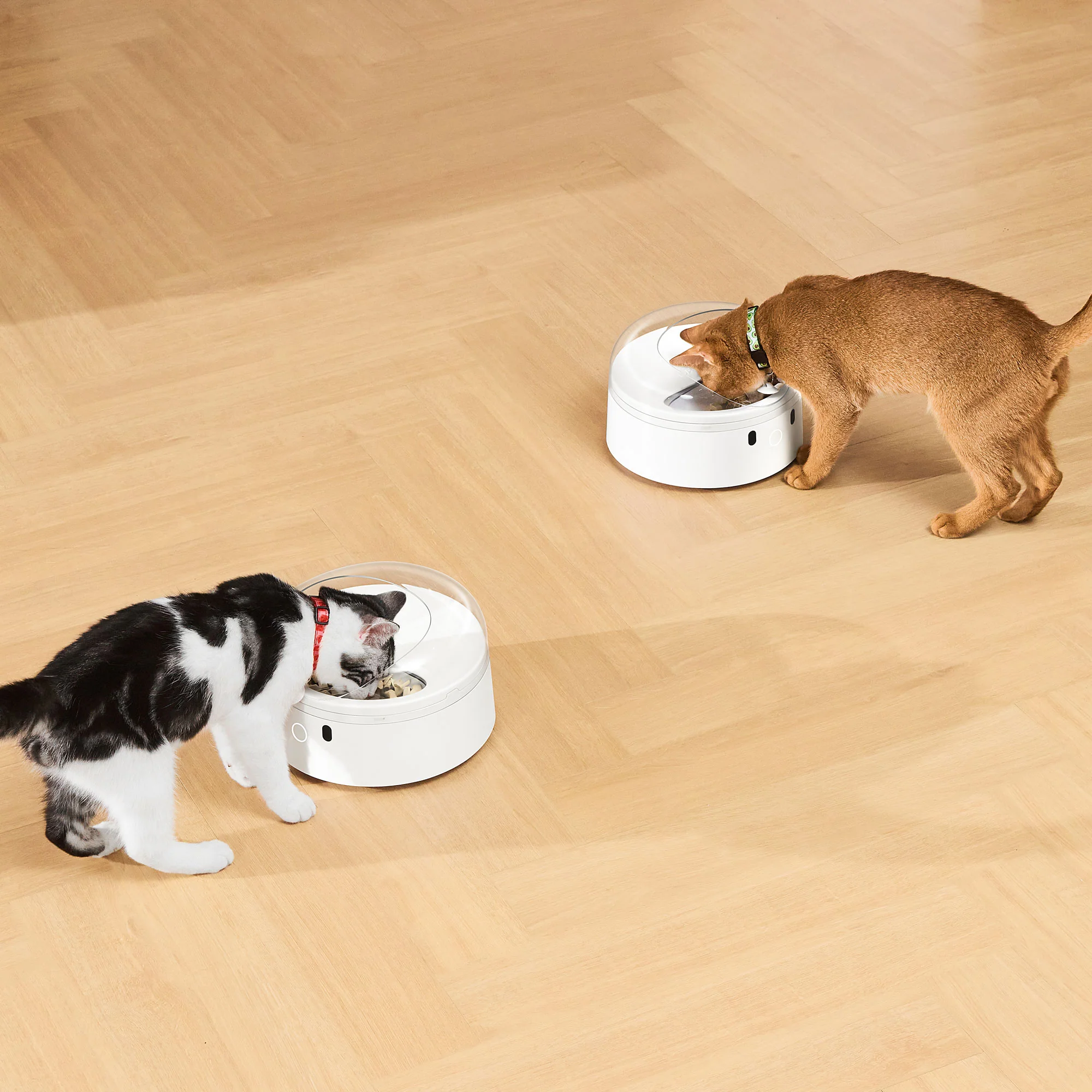 CATLINK EcoSystem Set SE - Image 7