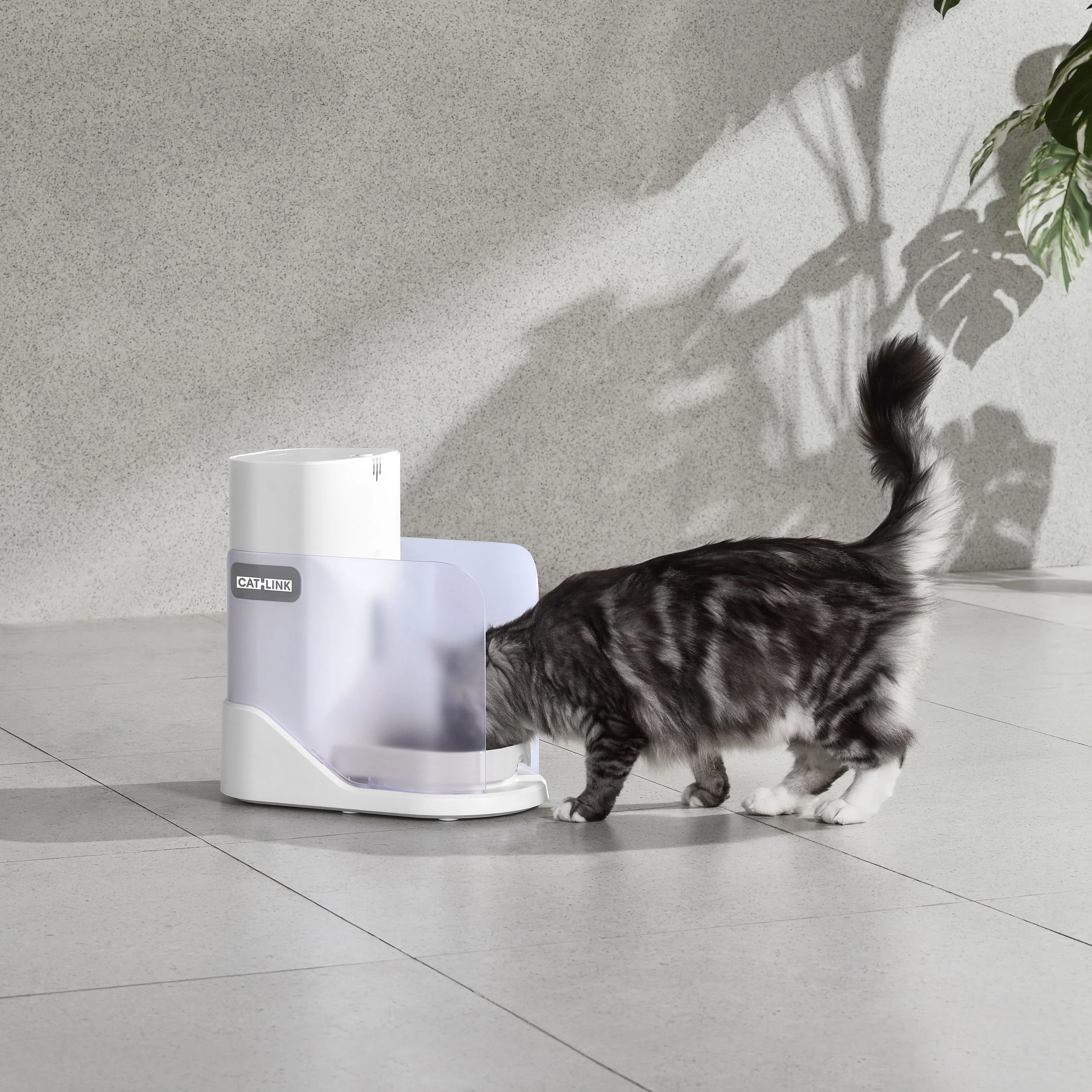 CATLINK Multi-Cat Recognition Automatic Feeder - Facelink - Image 5