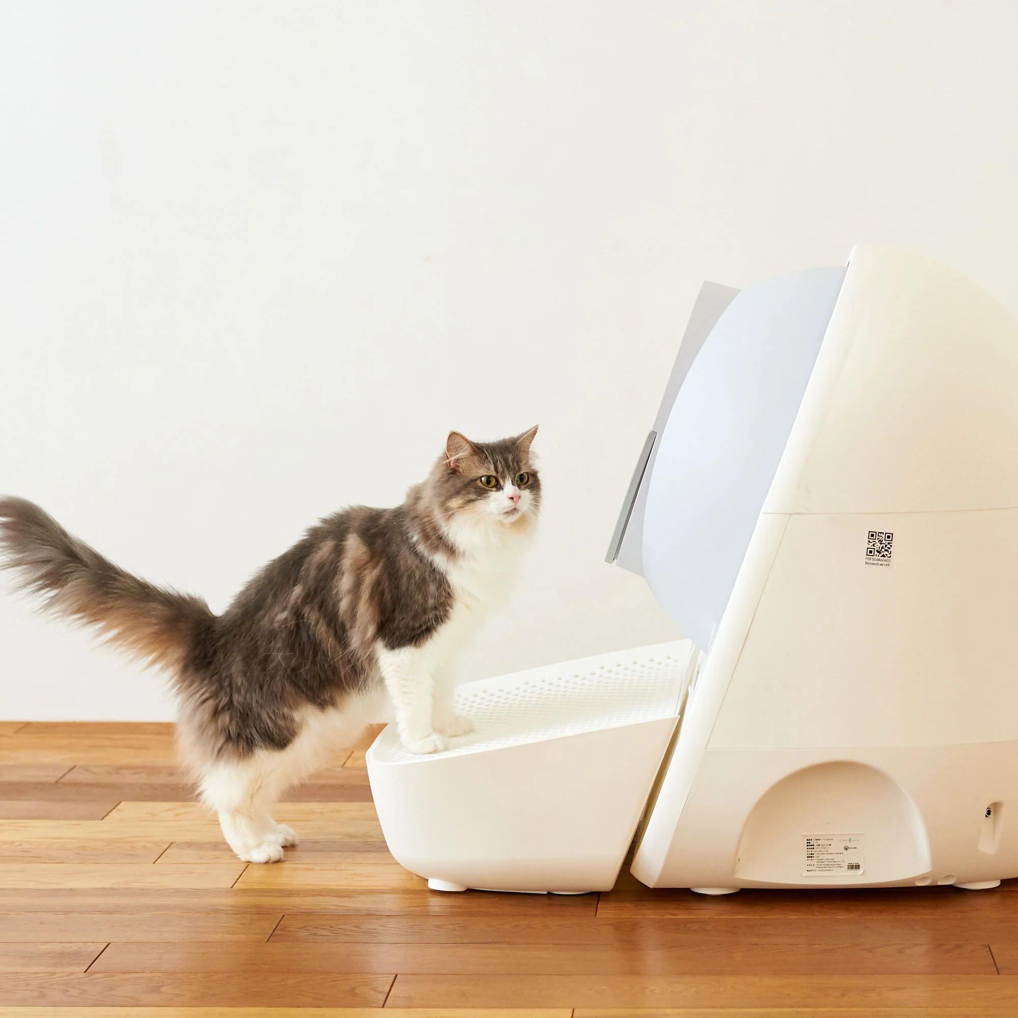 CATLINK Self Cleaning Litter Box - Scooper Luxury Pro-X Ramp Double Set - Image 3
