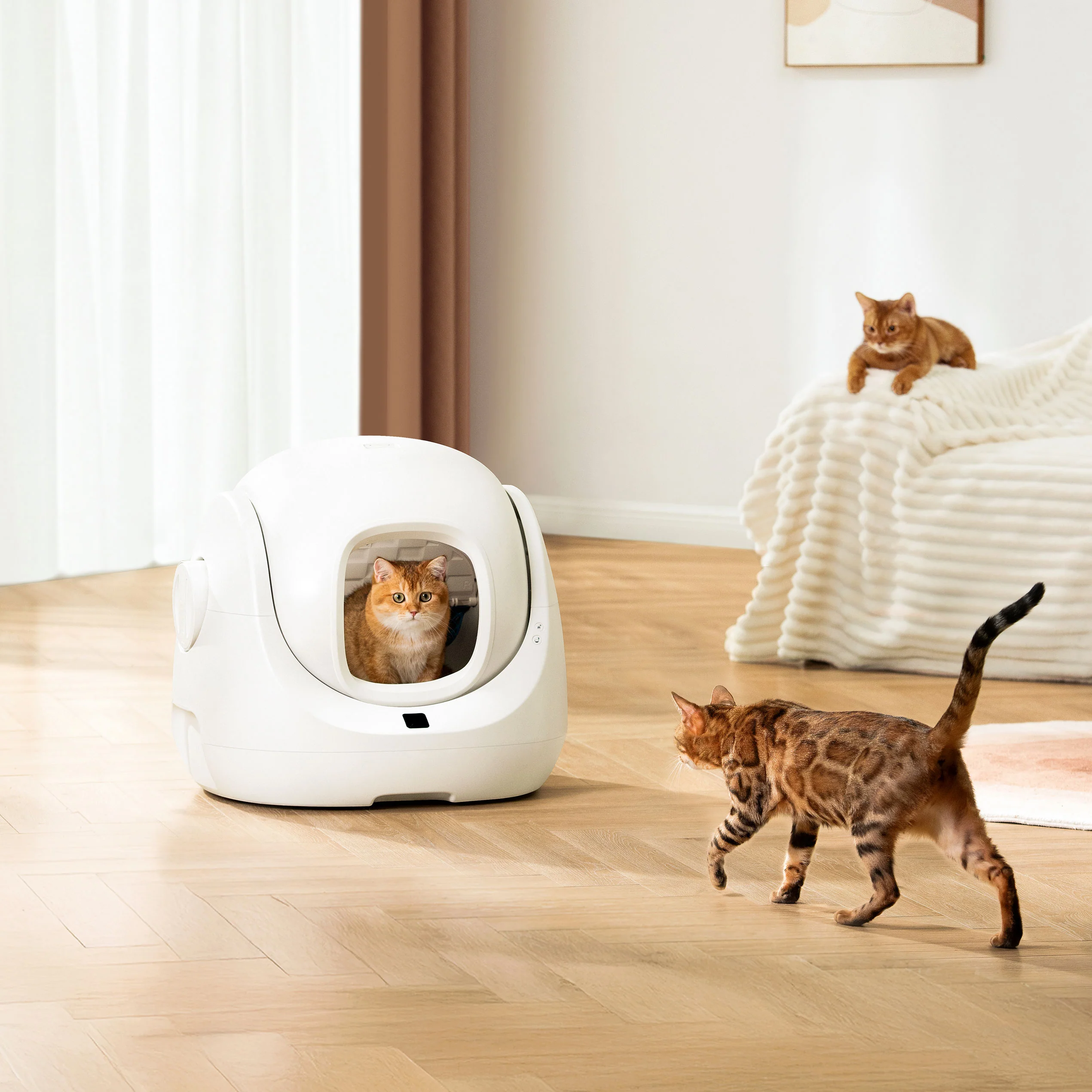CATLINK Smart Litter Box - Scooper SE - Image 8